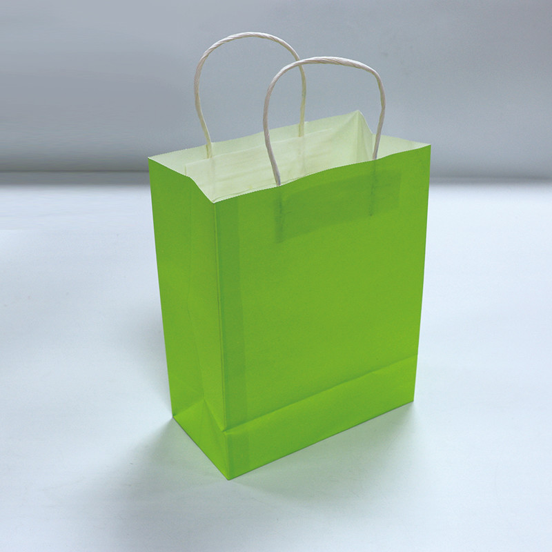 8 Colours Flexo Printing 120gsm Printed Paper Carrier Bags