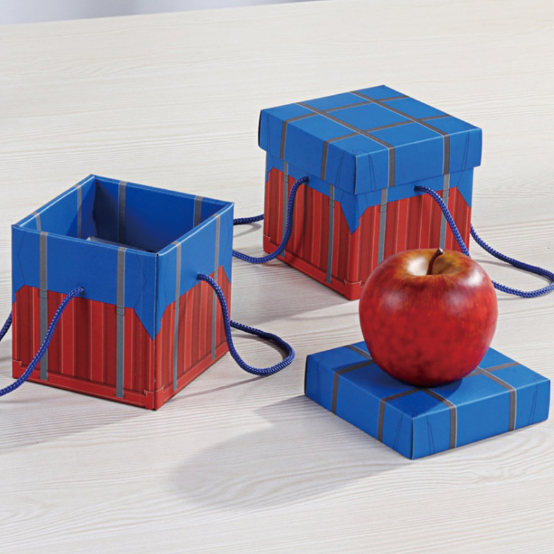 Custom Christmas Eve Wrapped Apple Lovely Gift Apple Packaging Boxes